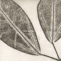 3-3t