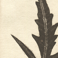 3-5t