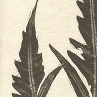 3-6t